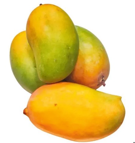 Kesar Mangoes